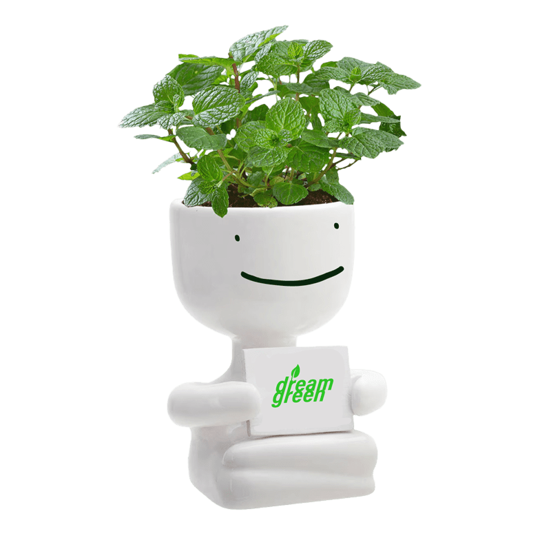 Dream Earth Day Blob Mint Plant Kit