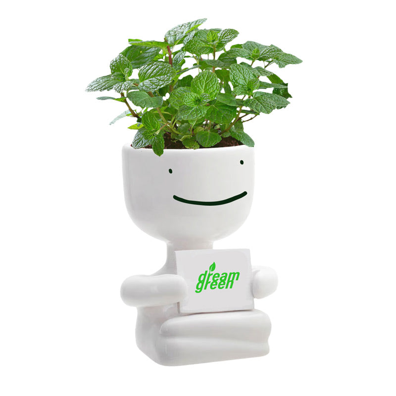 green blob succulent Dream Earth Day Blob Mint Plant Kit