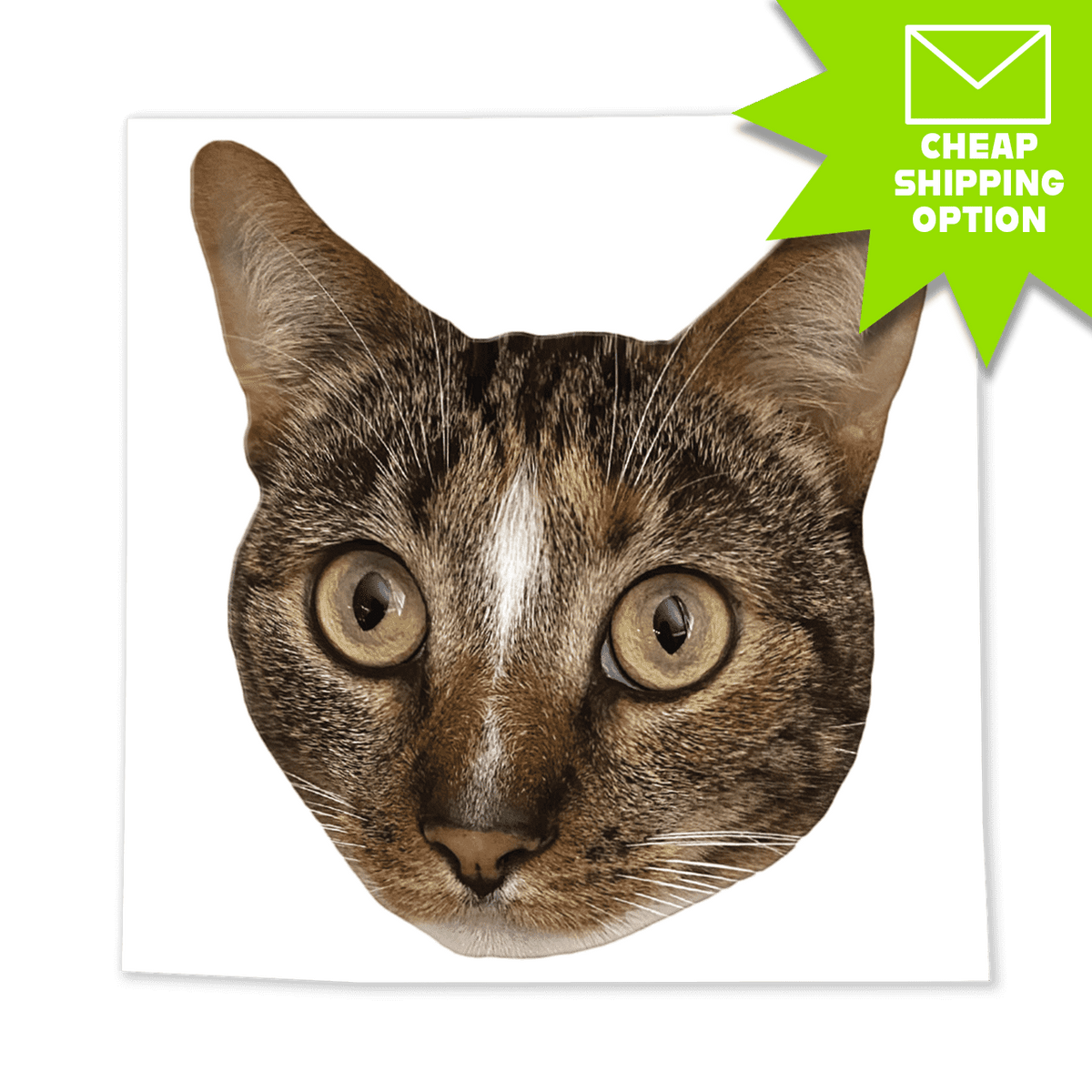 Patches the Purrfect Cat Face Sticker