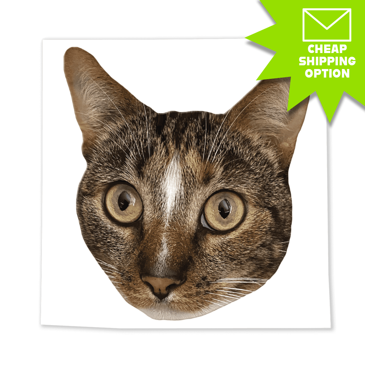 Patches the Purrfect Cat Face Sticker