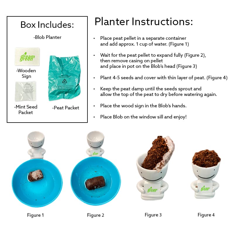 Dream Earth Day Blob Mint Plant Kit