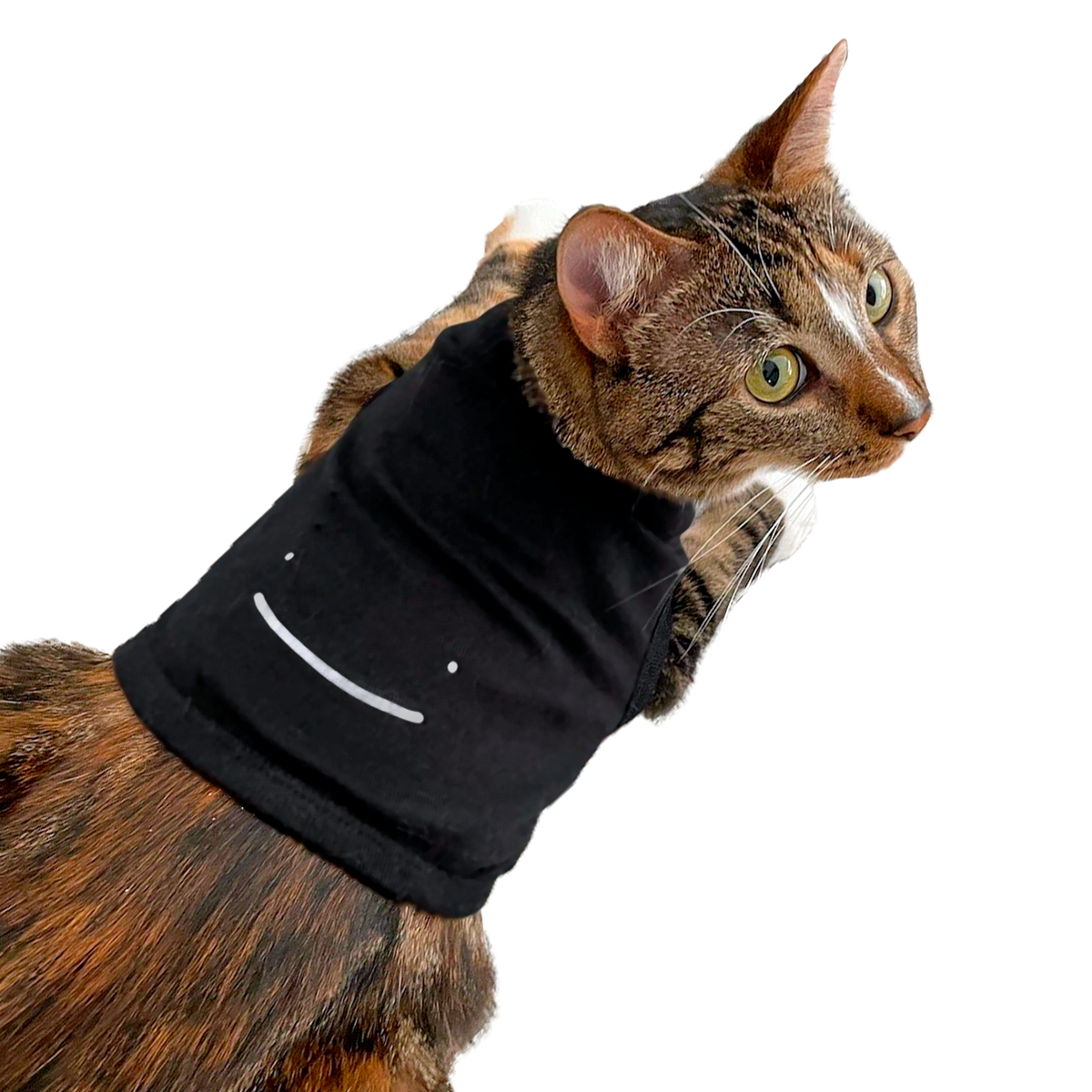 Dream Smile Pet Tank Top