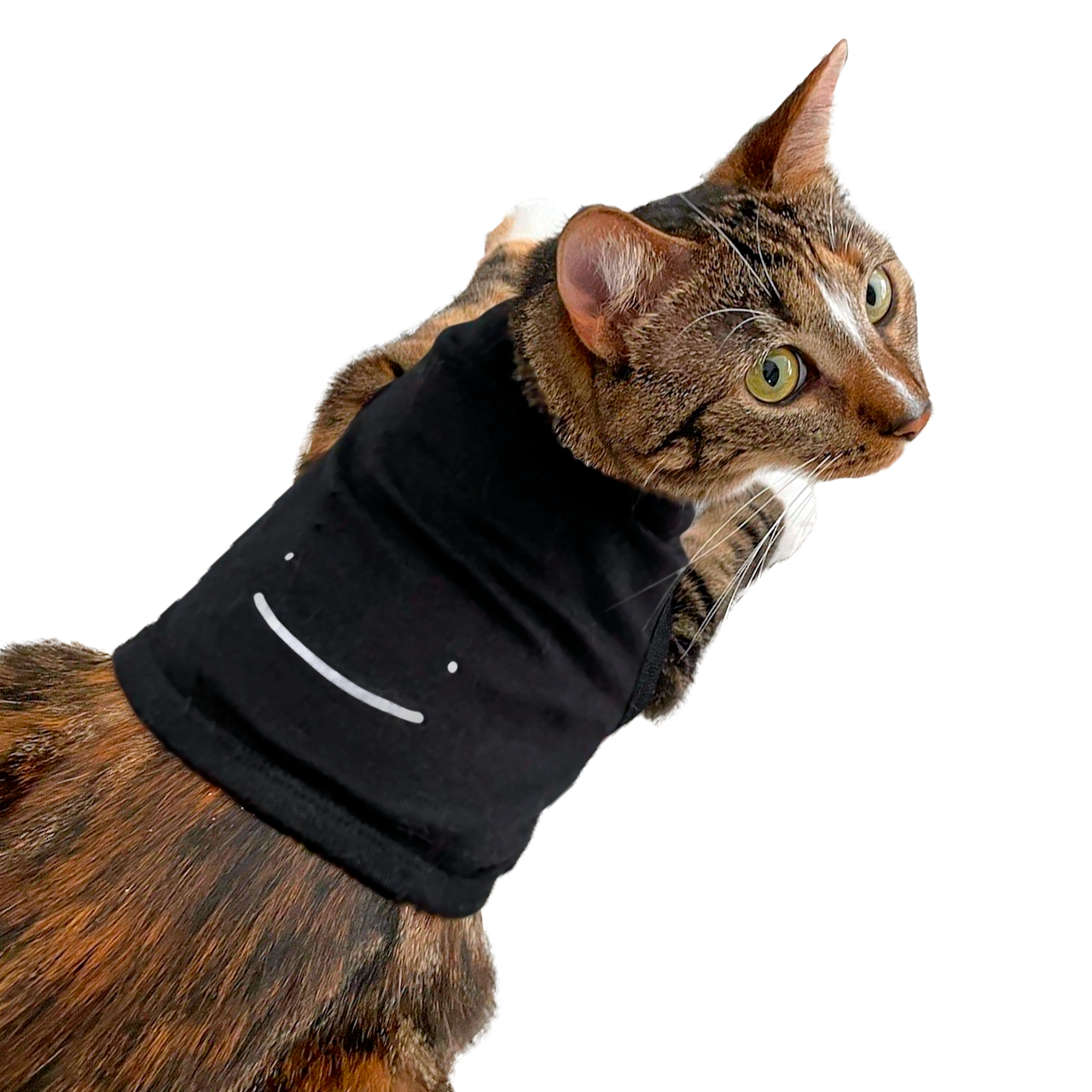 Dream Smile Pet Tank Top