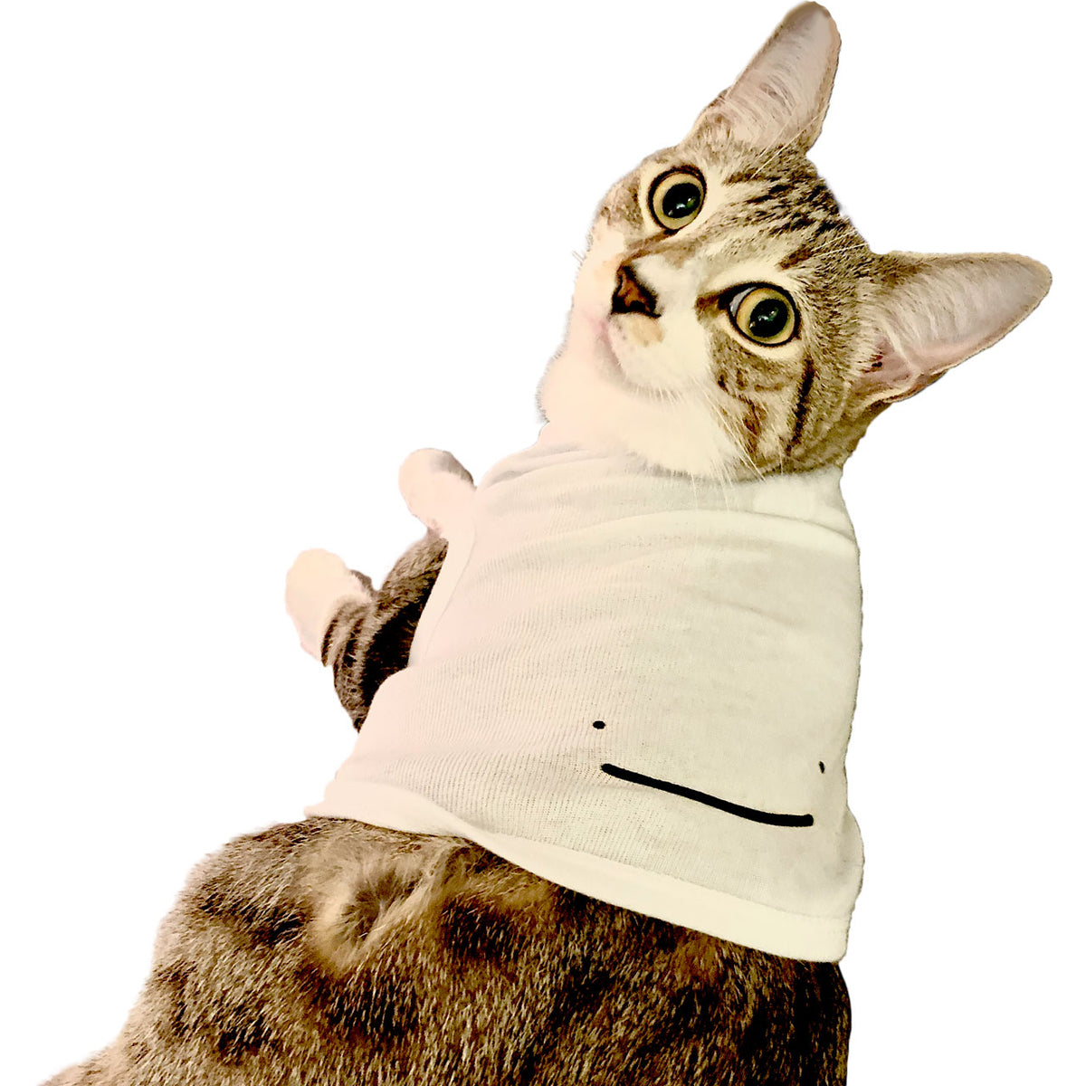 Dream Smile Pet Tank Top