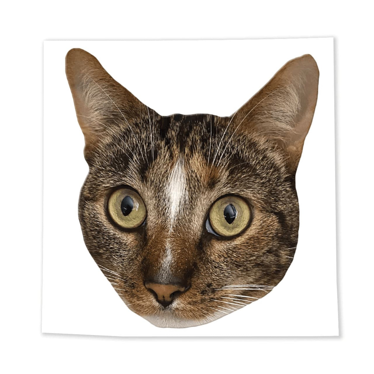 Patches the Purrfect Cat Face Sticker
