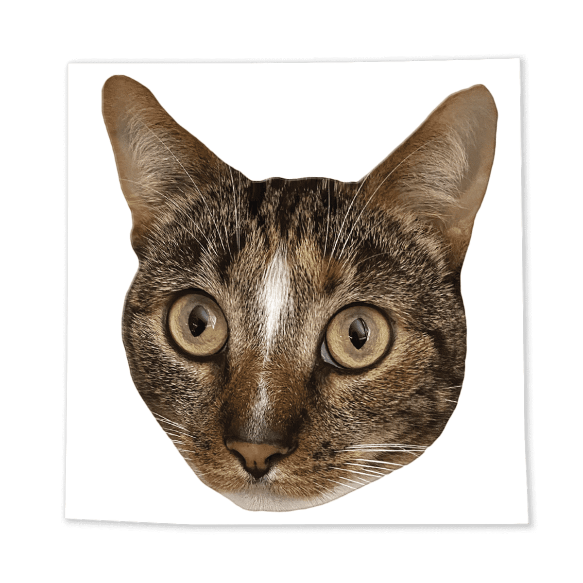 Purrrfect Sticker Patches the Purrfect Cat Face Sticker - DREAM
